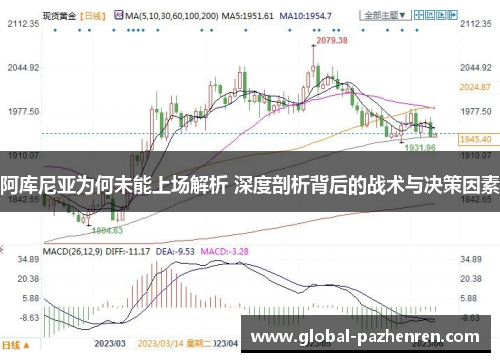 阿库尼亚为何未能上场解析 深度剖析背后的战术与决策因素