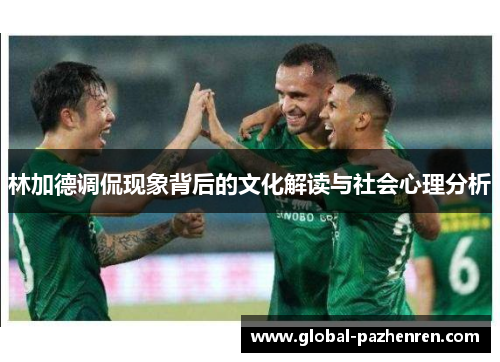 林加德调侃现象背后的文化解读与社会心理分析